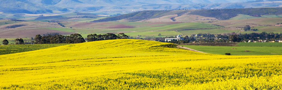 Garden Route holidays