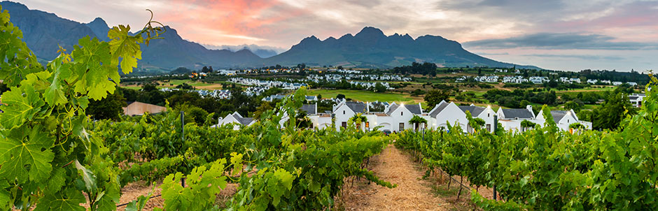 Winelands holidays